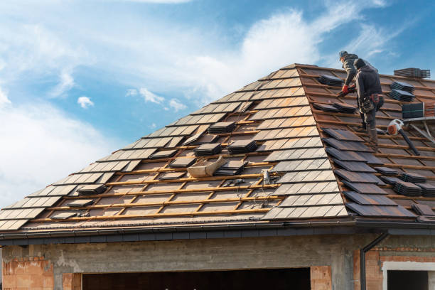 Best Asphalt Shingle Roofing  in Prosper, TX